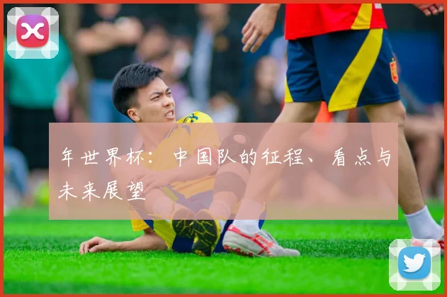 年世界杯：中国队的征程、看点与未来展望
