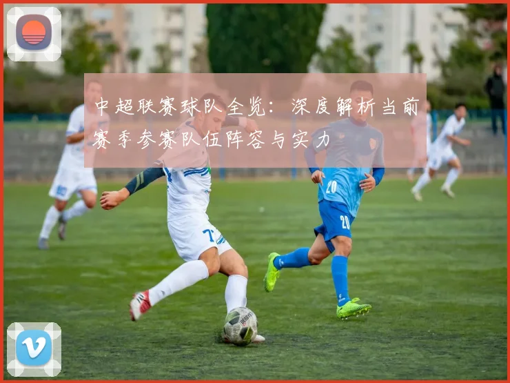 中超联赛球队全览：深度解析当前赛季参赛队伍阵容与实力
